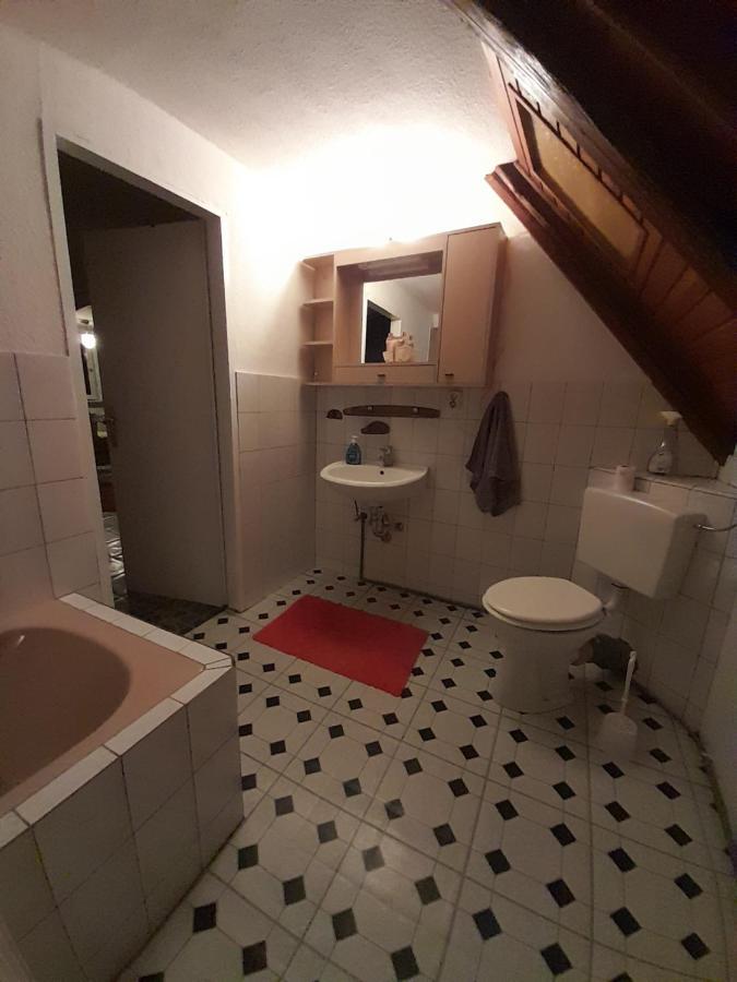Ferienwohnung Why Not Polle Exteriör bild